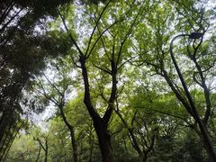 -杭州植物园