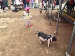 -上美四季动物农场