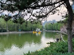 -团结湖公园
