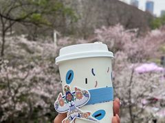 -Beans Solo豆号咖啡(百家湖花园店)