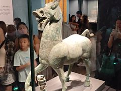 -广西壮族自治区博物馆