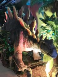 -恐龙探索乐园(磁器口店)