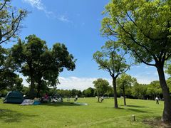 -上海吴淞炮台湾国家湿地公园