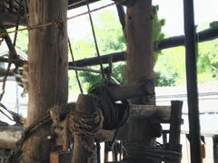 -燊海井