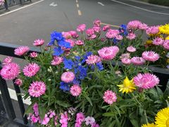 -海心沙亚运公园