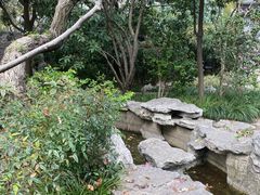 -静安公园(静安寺街道)