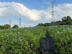 -广州市流溪河国家森林公园