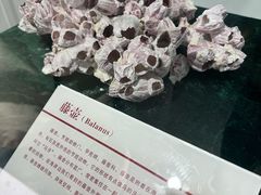 -中国第四纪冰川遗迹陈列馆