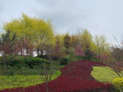 -宝鸡植物园