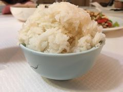 -天府乐园