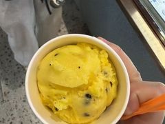 -iceason爱茜茜里·意大利健康冰淇淋(骑龙巷店)