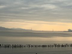 -福田红树林生态公园