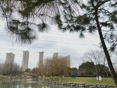 -九里河湿地公园