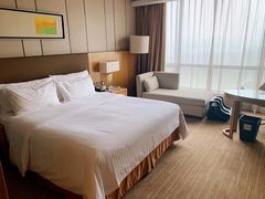 -徐州博顿温德姆酒店(高铁东站店)