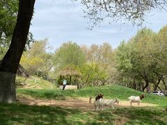 -北京野生动物园