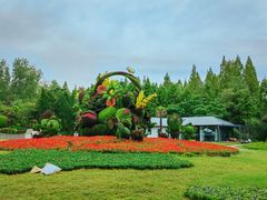 -东平国家森林公园