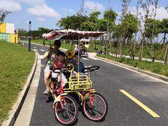 -春花秋色城市公园