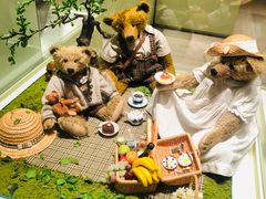 -济州岛泰迪熊博物馆