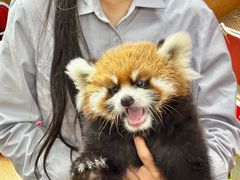 -常州淹城野生动物世界