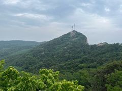 -鲁山国家森林公园