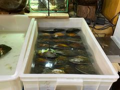 -十八字金·银饰·拼豆·开蚌DIY(魏公芳华里店)