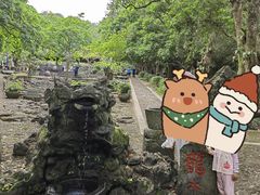-海口火山口国家地质公园