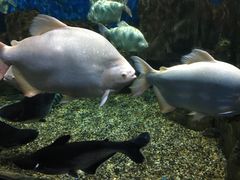 -石林冰雪海洋世界