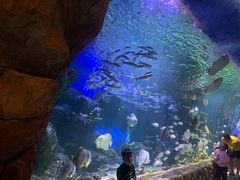 -华夏文旅海洋公园