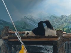 -武汉动物园