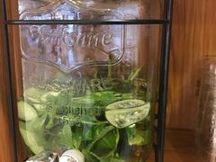 -Dreamsalad梦想轻厨(健康轻食·减脂沙拉·意面·祖庙店)