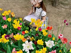 -石家庄市植物园