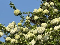 -白塘生态植物园
