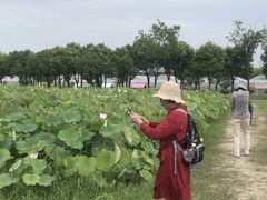 -嘉北郊野公园北游客中心-地上停车场