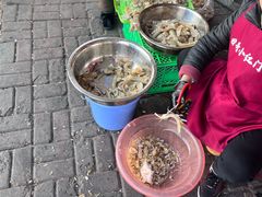 -小红门海鲜