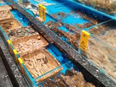 -瓯菜排档·温州海鲜(玕南店)