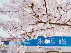 -永乐路-路侧停车场