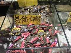 -珠光市场(文德南路)