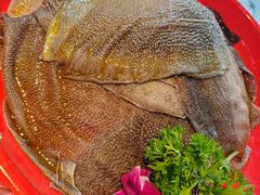 -二荆条·蜀鲜汇城市森林火锅