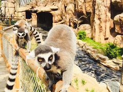 -北京野生动物园