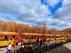 -莫尔道嘎国家森林公园