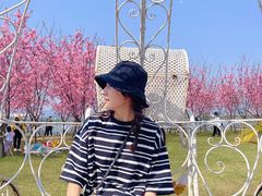 -福建鲤鱼洲酒店