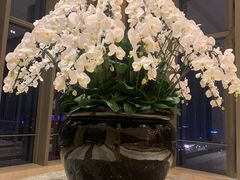 -视界美食自助餐厅·石家庄希尔顿酒店