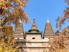 -北京石刻艺术博物馆(五塔寺)