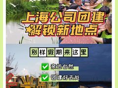 -上海长兴岛郊野公园