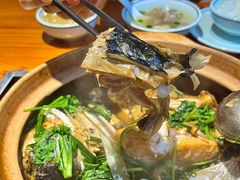 -九道菜有鸡鱼头(石鼓路店)