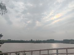 -大兴滨河森林公园