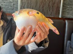 -永安鱼庄·镇江菜(东吴路店)