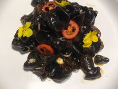 -马仕玖煲·融合菜·酥不腻烤鸭(人大店)