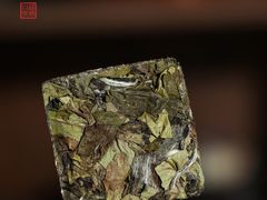 -沉瓯 福鼎白茶(洛川中路店)