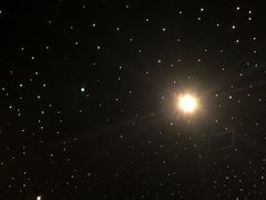-STARRY CAFE & LOUNGE BAR(高新店)